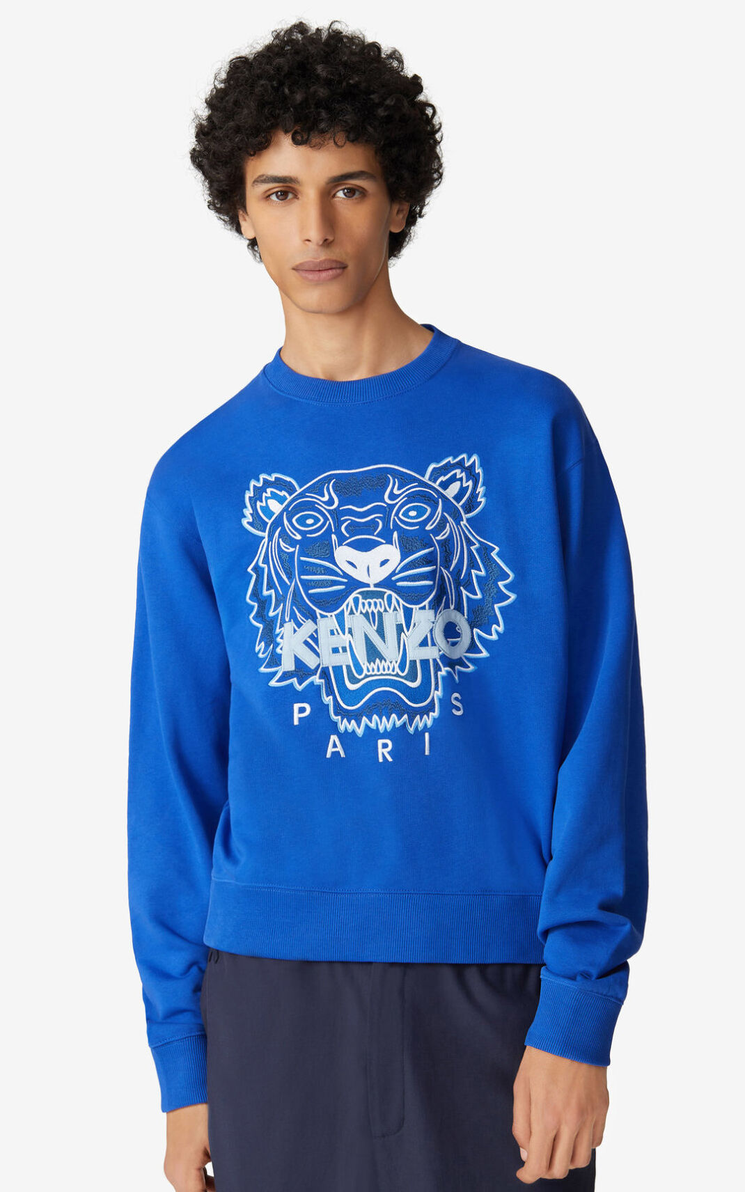 Kenzo Tiger Sweatshirt Erkek Kraliyet Mavisi Mavi | 0138-QWUSN